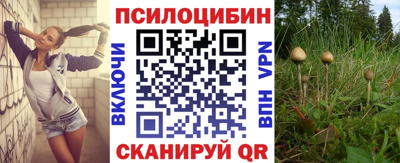 Купить где  Покровск  Галлюциногенные грибы прущие грибы 